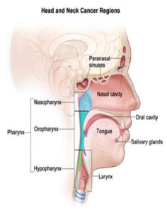 Best ENT Specialist in Kolkata Best ENT Doctor in Kolkata